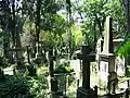 Tombstones in the Feriköy Protestant Cemetery