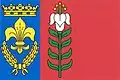 Flag of Řepín