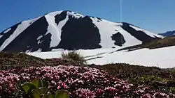 Beringia