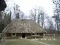 Homestead (early 20th century, Berezhonka village)