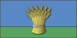 Flag of Kirawsk district