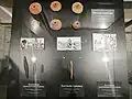 Objects from the Yankovskaya culture [fr].