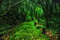 Phu Ruea National Park