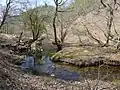 Haccho-Daira Wetland