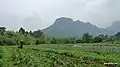 Panorama view