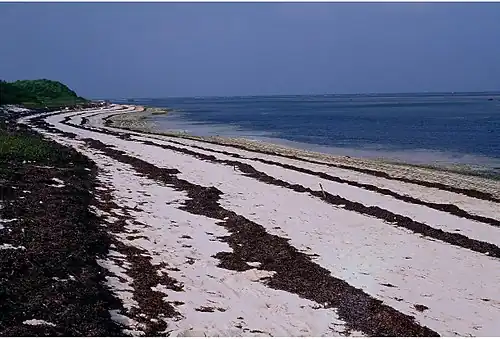 Pratas Island Beach