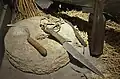 Recreations of various bladed iron tools from around 250 BC, including a sickle