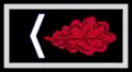 Ofizialaondokoa / Suboficial