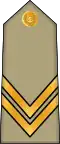 Sergent chef (Arabic: رقيب أول, romanized: Raqib awwal) (Algerian Land Forces)[2]
