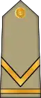 Adjudant (Arabic: مساعد, romanized: Mosa'id) (Algerian Land Forces)[8]