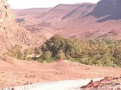 Oasis du Fint