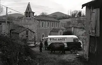 Arguenos in 1978