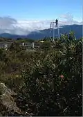 Paramo at the summit