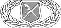 Operations Research Analyst Badge[8]