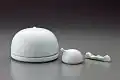Bird Calligraphy Set (2000)