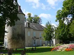 The town hall and the tower