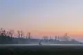 The Drongengoedbos [nl] at dawn