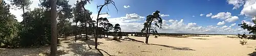 Loonse en Drunense Duinen