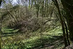 The slag heap.