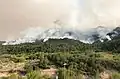 Fire growth on the southwest side of the Pine Gulch Fire on August 15.
