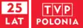 25th anniversary logo