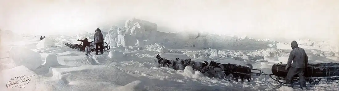 Image 3 Ziegler Polar Expedition Photo credit: Anthony Fiala A panorama from the Ziegler Polar Expedition of 1903–05, an unsuccessful attempt to reach the North Pole. The party remained stranded north of the Arctic Circle for two years before being rescued, yet all but one of its members survived. More featured pictures