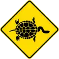 (MR-WDO-18) Long-necked tortoises (used in Western Australia)