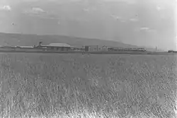 Mesilot 1939
