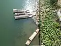 Above the bridge