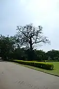 Abuja Millenium Park 2019
