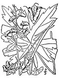 Trailing white monkshood (A. reclinatum)
