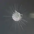 Actinophrys sol