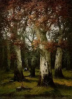 The brushwood collector