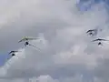 Four ultralight trikes (Aerosport 2013)