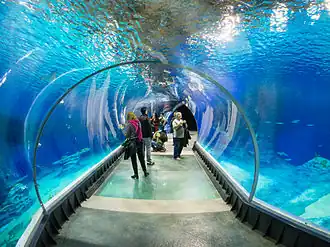 Wrocław Zoo
