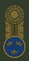 Clasp (agrafe) for a general of any rank[l] (c. 2002–2009)