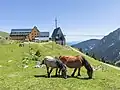 Alberg Pic de l'Àliga