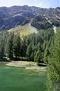 Lai da Palpuogna