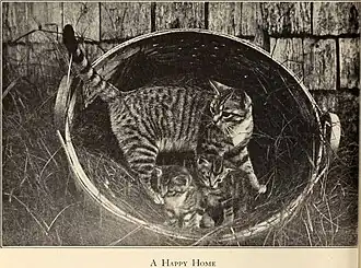 A Happy Home