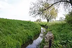 The Aller near Wefensleben, about 10 kilometres (6 mi) below its source