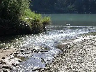 The Allondon meets the Rhône