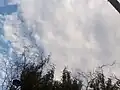 Altocumulus mammatus