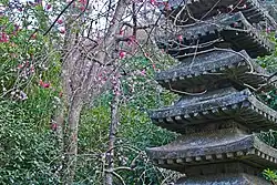A stone tasōtō