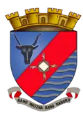 Coat of arms of Antsirabe