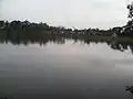 pond