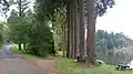 Arboretum de Pézanin