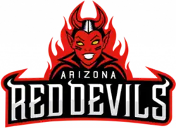 Team logo