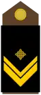 Nadnarednik (Croatian Army)[17]
