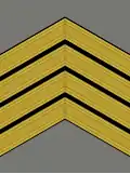 Primeiro-sargento (Portuguese Army)[26]