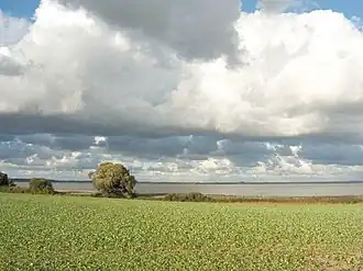 Arresø